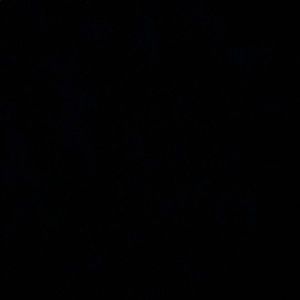 Meet your Posher, Alondra